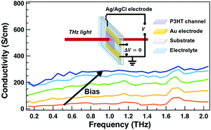 Graphical abstract: Bipolarons rule the short-range terahertz conductivity in electrochemically doped P3HT