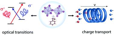 Graphical abstract: Spin selectivity in chiral metal–halide semiconductors