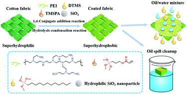 Graphical abstract: One-step fabrication of eco-friendly superhydrophobic fabrics for high-efficiency oil/water separation and oil spill cleanup