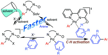 Graphical abstract: Faster palladium-catalyzed arylation of simple arenes in the presence of a methylketone: beneficial effect of an a priori interfering solvent in C–H activation
