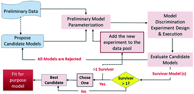 Graphical abstract: An optimization-based model discrimination framework for selecting an appropriate reaction kinetic model structure during early phase pharmaceutical process development