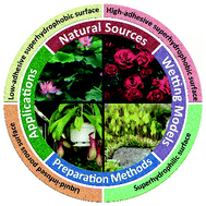 Graphical abstract: Adhesion behaviors on four special wettable surfaces: natural sources, mechanisms, fabrications and applications