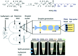 Graphical abstract: Linear triglycerol-based fluorosurfactants show high potential for droplet-microfluidics-based biochemical assays