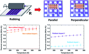 Graphical abstract: High thermal conductivity states and enhanced figure of merit in aligned polymer thermoelectric materials