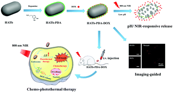 Graphical abstract: A novel theranostic nanoplatform for imaging-guided chemo-photothermal therapy in oral squamous cell carcinoma