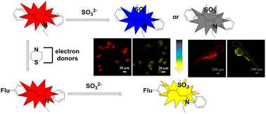 Graphical abstract: Sulfur and nitrogen served as electron donors to rescue short wave emission or fluorescence quenching caused by nucleophilic addition