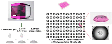 Graphical abstract: A high-throughput 3D bioprinted cancer cell migration and invasion model with versatile and broad biological applicability