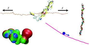 Graphical abstract: Molecular interpretation of single-molecule force spectroscopy experiments with computational approaches