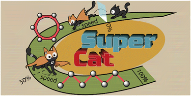Graphical abstract: Performance of homogeneous catalysts viewed in dynamics