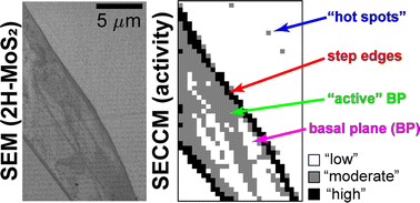 Graphical abstract: Direct electrochemical identification of rare microscopic catalytic active sites