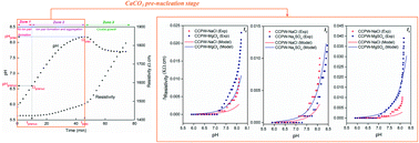 Graphical abstract: Influence of foreign salts on the CaCO3 pre-nucleation stage: application of the conductometric method