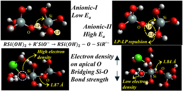 Graphical abstract: Silica dimerization in the presence of divalent cations