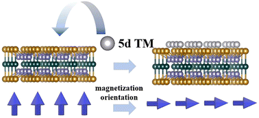 Graphical abstract: Tunable magnetocrystalline anisotropy of two-dimensional Fe3GeTe2 with adsorbed 5d-transition metal