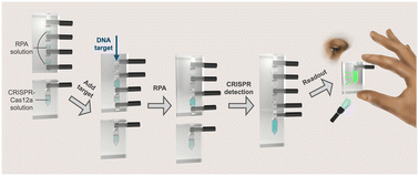 Graphical abstract: Computer vision enabled funnel adapted sensing tube (FAST) for power-free and pipette-free nucleic acid detection