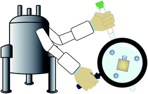 Graphical abstract: Solution NMR methods for structural and thermodynamic investigation of nanoparticle adsorption equilibria