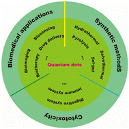 Graphical abstract: Research progress in the synthesis and biological application of quantum dots