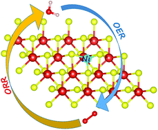 Graphical abstract: Computational screening of single-atom catalysts supported by VS2 monolayers for electrocatalytic oxygen reduction/evolution reactions