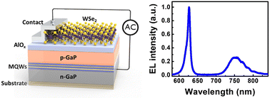 Graphical abstract: AC-driven multicolor electroluminescence from a hybrid WSe2 monolayer/AlGaInP quantum well light-emitting device