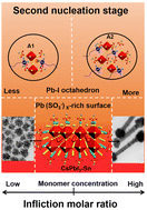 Graphical abstract: Diverse CsPbI3 assembly structures: the role of surface acids