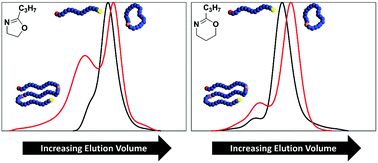 Graphical abstract: Macrocyclization efficiency for poly(2-oxazoline)s and poly(2-oxazine)s