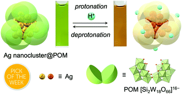 Graphical abstract: Variable control of the electronic states of a silver nanocluster via protonation/deprotonation of polyoxometalate ligands