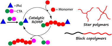 Graphical abstract: Chain transfer agents for the catalytic ring opening metathesis polymerization of norbornenes