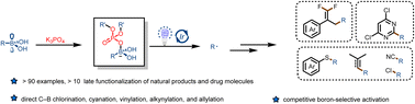 Graphical abstract: Alkylboronic acids as alkylating agents: photoredox-catalyzed alkylation reactions assisted by K3PO4