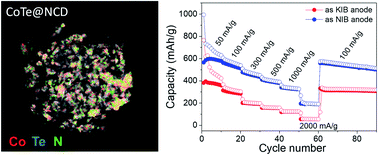 Graphical abstract: Thermally fabricated cobalt telluride in nitrogen-rich carbon dodecahedra as high-rate potassium and sodium ion battery anodes