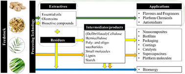 Graphical abstract: Ginger waste as a potential feedstock for a zero-waste ginger biorefinery: a review