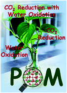 Graphical abstract: En route to artificial photosynthesis: the role of polyoxometalate based photocatalysts