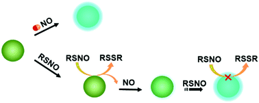 Graphical abstract: Versatile metal–organic frameworks as a catalyst and an indicator of nitric oxide