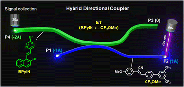 Graphical abstract: Mechanophotonics: fabrication of a 2 × 2 hybrid directional coupler from flexible organic crystals