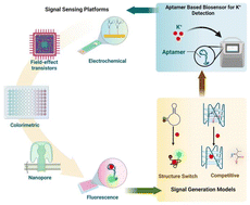 Graphical abstract: Recent advances in aptamer-based biosensors for potassium detection