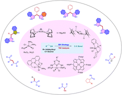 Graphical abstract: Transition metal-catalysis in interrupted borrowing hydrogen strategy