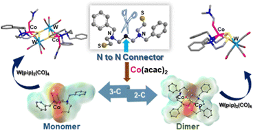 Graphical abstract: A single carbon atom controls the geometry and reactivity of CoII(N2S2) complexes