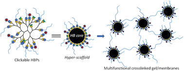 Graphical abstract: Hyperbranched polymers: growing richer in flavours with time