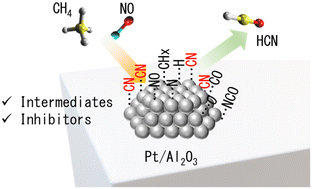 Graphical abstract: Insights into Pt–CN species on an alumina-supported platinum catalyst as active intermediates or inhibitors for low-temperature hydrogen cyanide synthesis from methane and nitric oxide