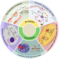 Graphical abstract: Current status and prospects of MOFs in controlled delivery of Pt anticancer drugs