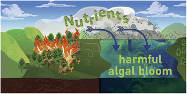 Graphical abstract: Wildfires in the western United States are mobilizing PM2.5-associated nutrients and may be contributing to downwind cyanobacteria blooms