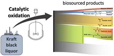 Graphical abstract: Potential of catalytic oxidation of kraft black liquor for the production of biosourced compounds