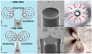 Graphical abstract: Enhanced acoustic streaming effects via sharp-edged 3D microstructures