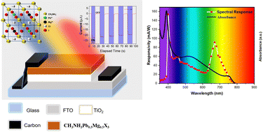 Graphical abstract: Fabrication of a self-powered broadband photodetector by 50% replacement of Pb by Mg in the CH3NH3Pb0.5Mg0.5Cl2I perovskite lattice