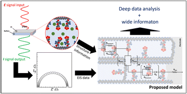 Graphical abstract: Review on the use of impedance spectroscopy for IPMC-like devices: application, models, and a new approach to data treatment