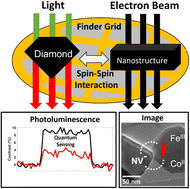 Graphical abstract: Nitrogen vacancy defects in single-particle nanodiamonds sense paramagnetic transition metal spin noise from nanoparticles on a transmission electron microscopy grid