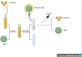 Graphical abstract: New application of a periodic mesoporous nanocrystal silicon–silica composite for hyperlipidemia