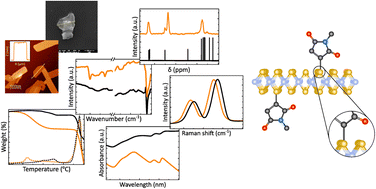 Graphical abstract: Characterization of emerging 2D materials after chemical functionalization