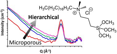 Graphical abstract: Using small angle neutron scattering to explore porosity, connectivity and accessibility, towards optimised hierarchical solid acid catalysts