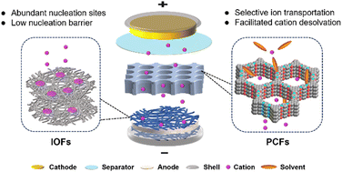 Graphical abstract: Interfacial chemistry regulation using functional frameworks for stable metal batteries