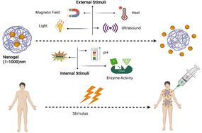 Graphical abstract: Smart stimuli-responsive polysaccharide nanohydrogels for drug delivery: a review