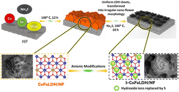 Graphical abstract: A 3D-hierarchical flower like architecture of anion induced layered double hydroxides for competing anodic reactions